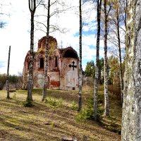 Сквозь деревья... :: Константин Иванов