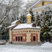 В зимнем парке :: Виктор Позняков