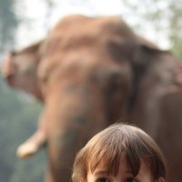 слон и мальчик :: Наталья Фаустова