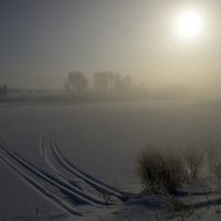 Туман :: Валерий Шибаев