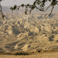 В пустыне Негев (Израиль) :: Сергей Глотов