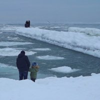 **** :: Александр Цисарь