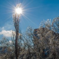 мороз и солнце :: Анна Губенко