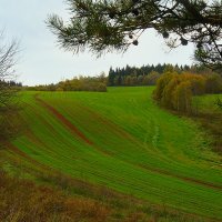 Осенние краски :: Лариса Кайченкова