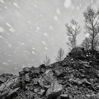 А снег идёт... :: Эдуард Ефремов