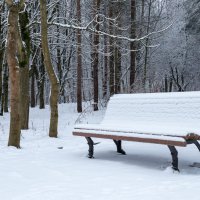 После снегопада :: Олег Козлов