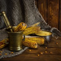 Про кукурузную кашу :: Татьяна Хромова