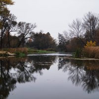 Осень на реке. :: Владимир Михеев
