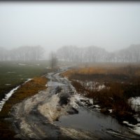 Туман....скоро весна..... :: Svetlana Kravchenko