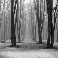 Туман на город бросил серую вуаль, :: Volodymyr Shapoval VIS t