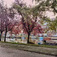 Fall in Amsterdam :: Gene Brumer