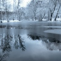 Нежные краски зимы :: Наталья Лакомова