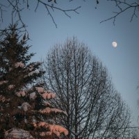 Луна и закат :: Константин Кашин