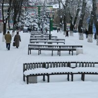 Зимний бульвар :: Александр Бурилов