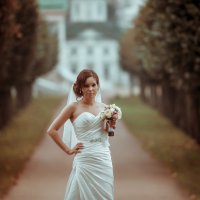 Портрет невесты :: Виктор Бабинцев