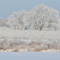 Зимняя сказка :: Виталий Качанов