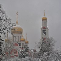 Снегопад :: Олег Самотохин