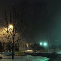 Туман 1 :: Lasya Корчагина