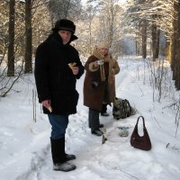 Зимним днем на природе. :: Нина Червякова