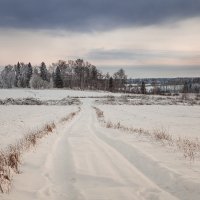 Деревенская дорога... :: Александр Никитинский