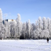 Чудеса мороза :: Анатолий Бугаев