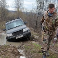 Большие детки, большие бедки :: Нина Штейнбреннер