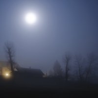 Лунная туманная ночь :: Roman Globa
