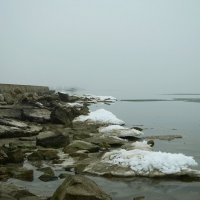 Зимнее море, туман, дамба :: Дмитрий Линник