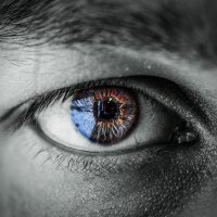 The eye :: SteFFun Glenton
