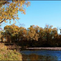 Осень на берегу реки :: clubnika 
