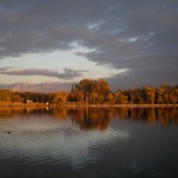 На вечерней зорьке :: Татьяна Пальчикова