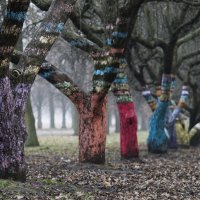 Разрисованные деревья :: Роман Романенко