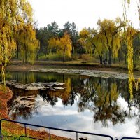 Осенний пруд :: Мария Богуславская