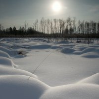 Вечер на болоте :: Николай Морский 