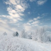 Зима :: Владимир Большаков