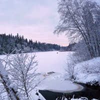 Морозно :: Анастасия Белякова