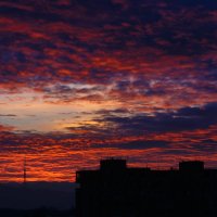 Утро :: Nerses Davtyan