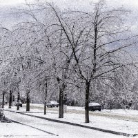 Зима :: Григорий Осипенко