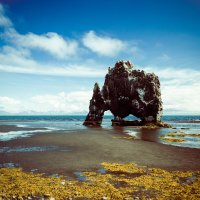 Хвитсеркур (Hvitserkur) - каменный мамонт Исландии :: Вячеслав Ковригин