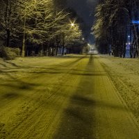 Дорога домой :: Алексей Сараев