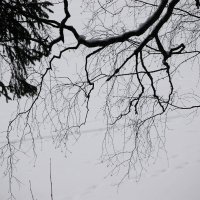 Зимний пейзаж :: Натали V
