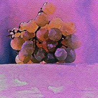 гроздь виноградная :: С.Н.Степняк 