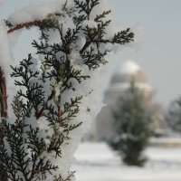 Зима :: Виктор Никонов