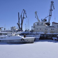 На приколе. :: Олег Сахнов