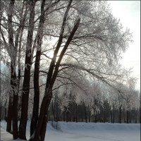 Зимой в ЦПКО *** Winter in the park :: Александр Борисов
