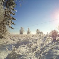 Мороз и солнце. :: Елена Фокина