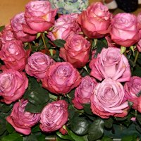 Розы :: Наталия Короткова