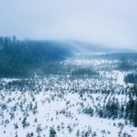Зима :: Анастасия Володина