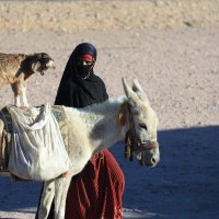 Фатима :: Светлана Смирнова