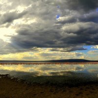 Озеро Накуру. Фламинго. :: fototysa _